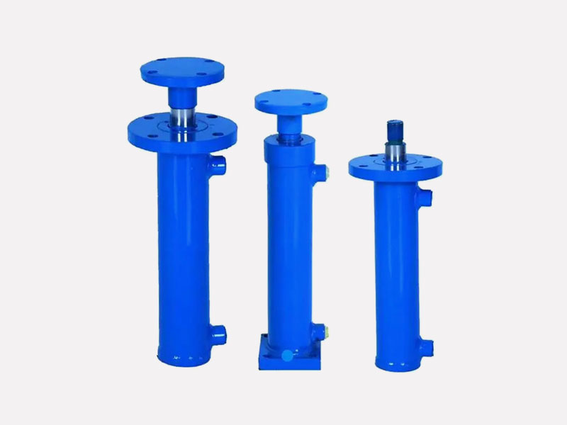 ���m�͸׶���